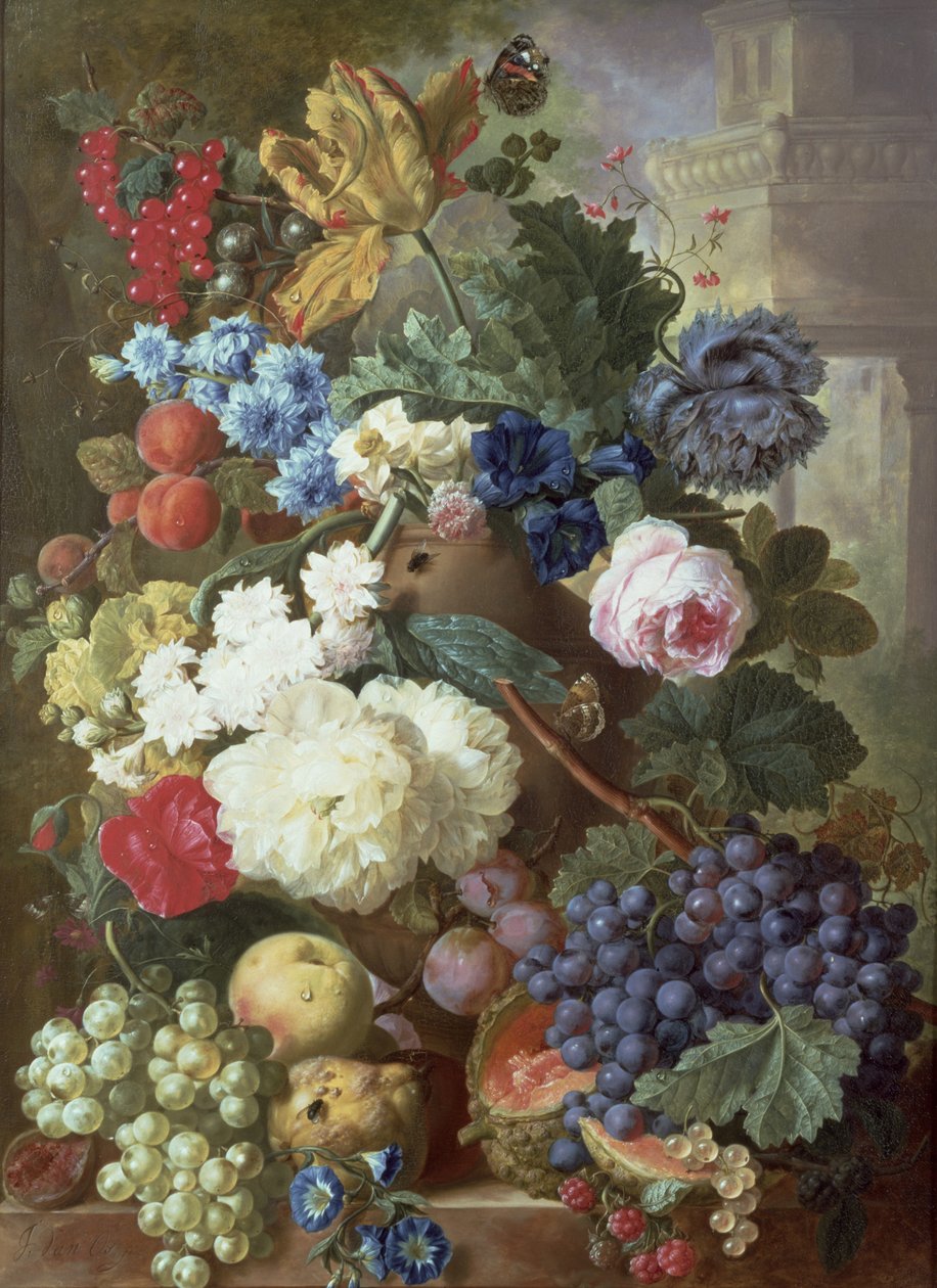 Çiçekler ve Meyve by Jan van Os