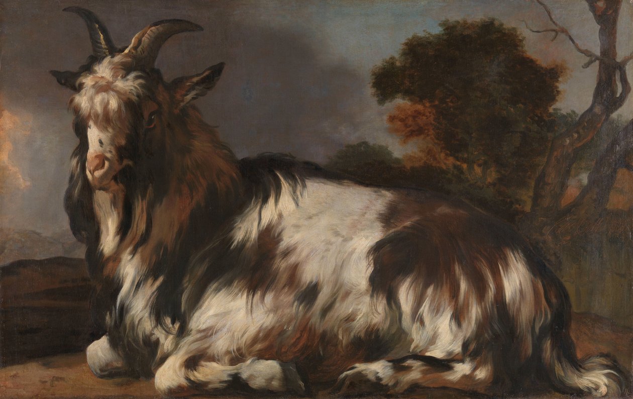 Keçi Yatarken by Jan Baptist Weenix