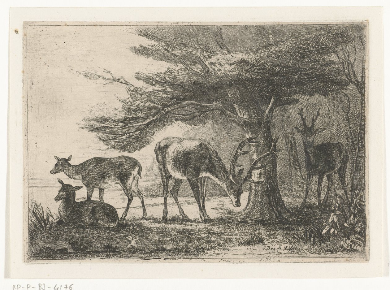 Geyik ile orman kenarı by Jan Bos Wz.