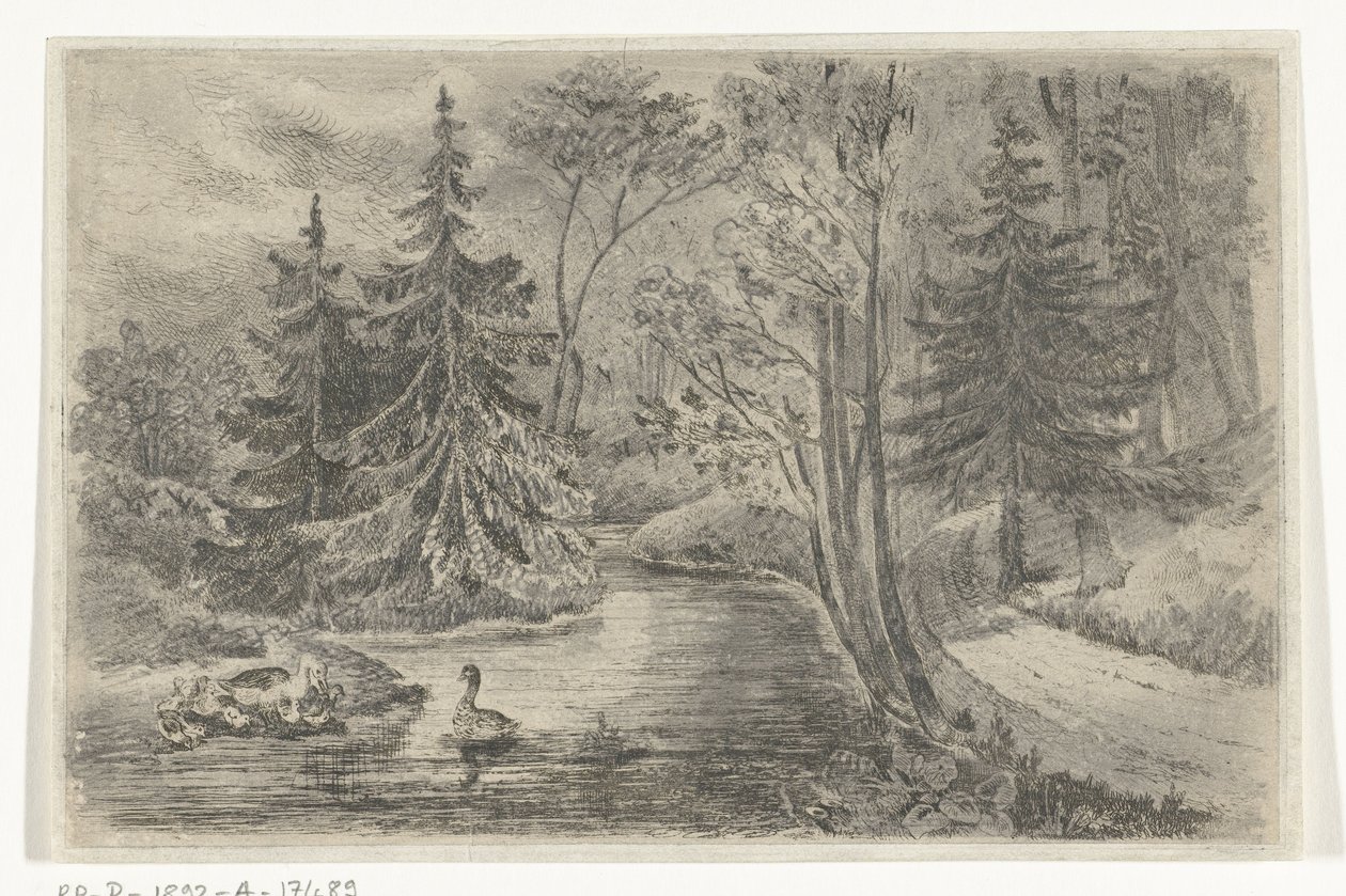 Ördekler ile bir gölet tarafından orman yolu by Jan Bos Wz.