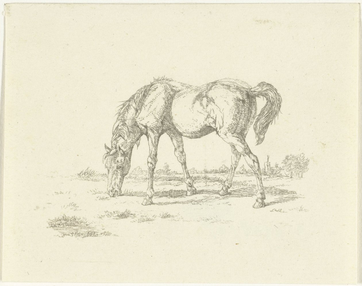 Sağda otlayan at by Jan Dasveldt