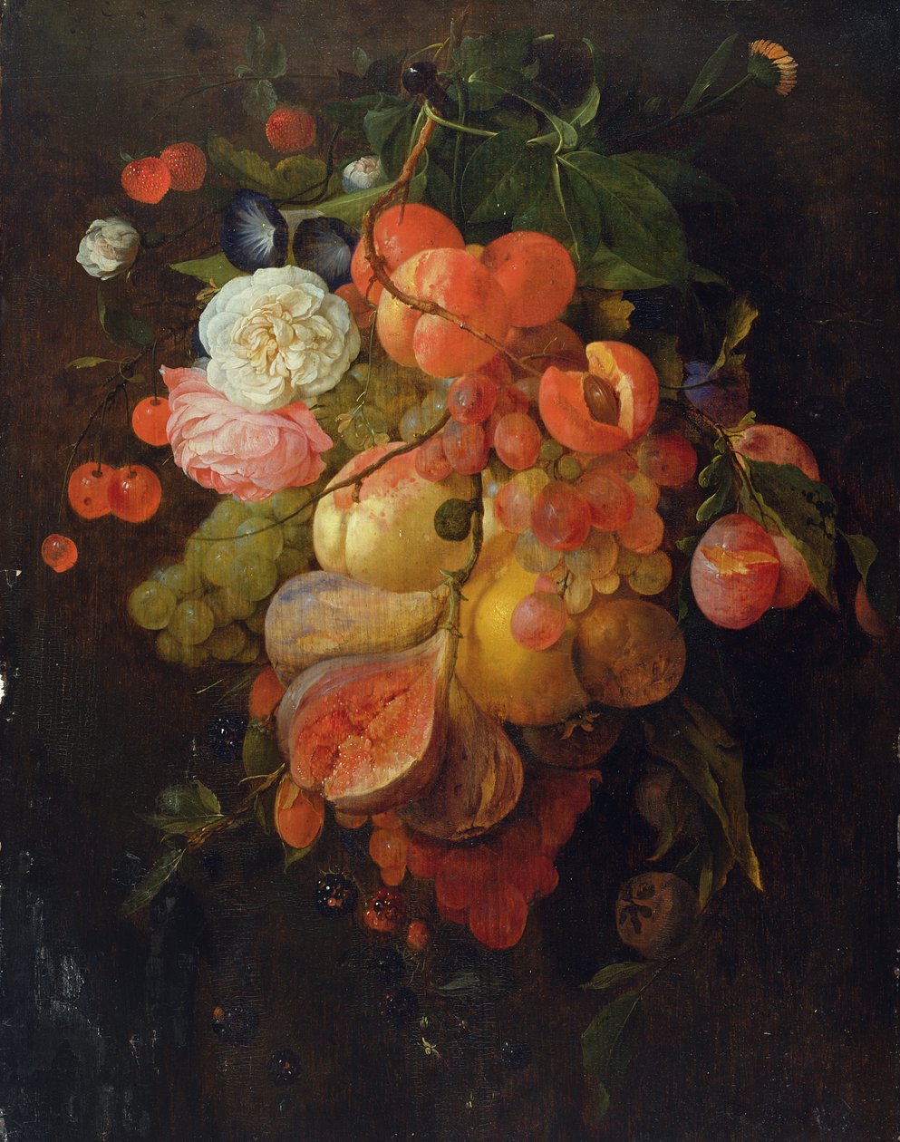 Meyve ve Çiçekler by Jan Davidsz de Heem