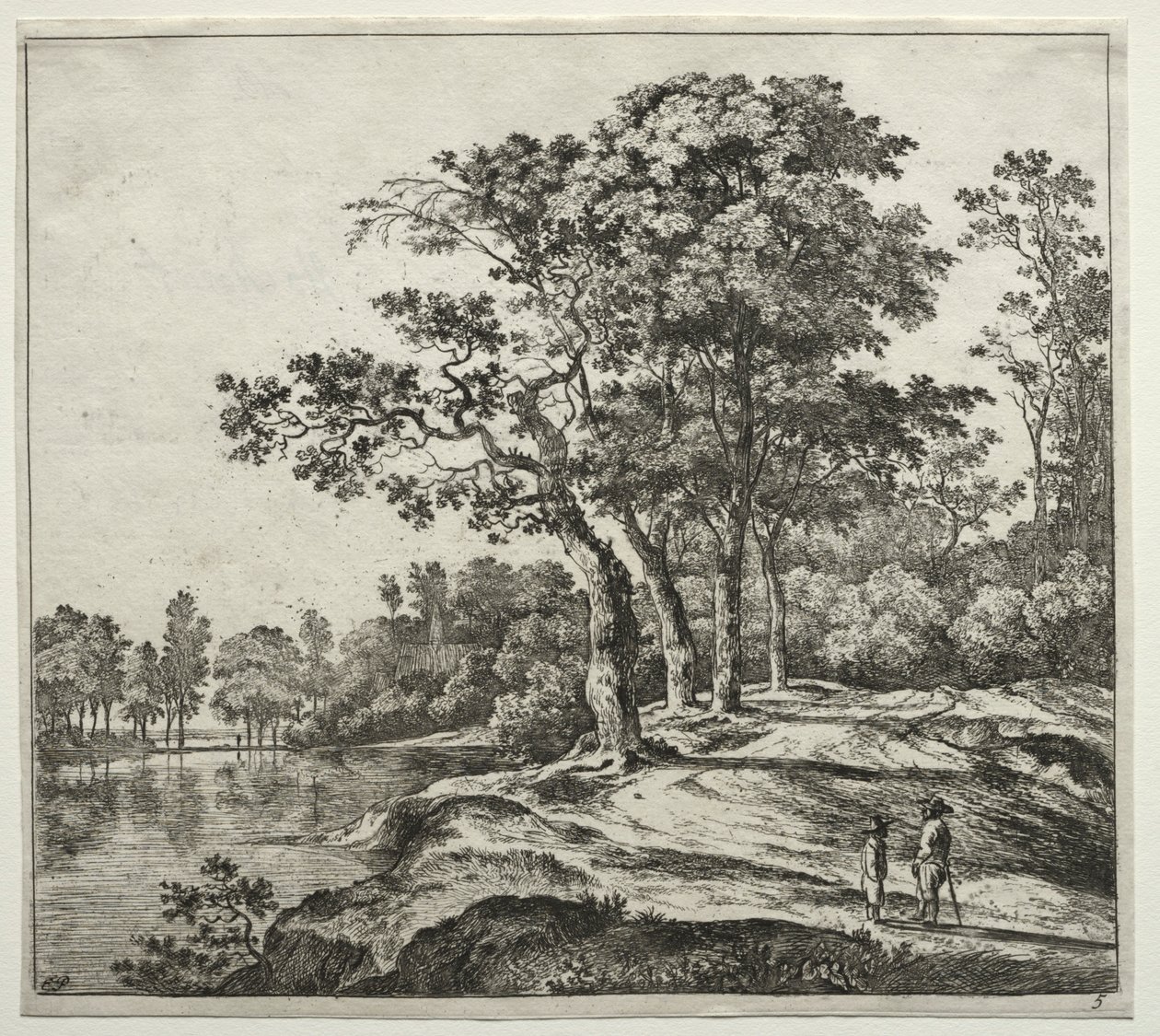  by Jan Hackaert