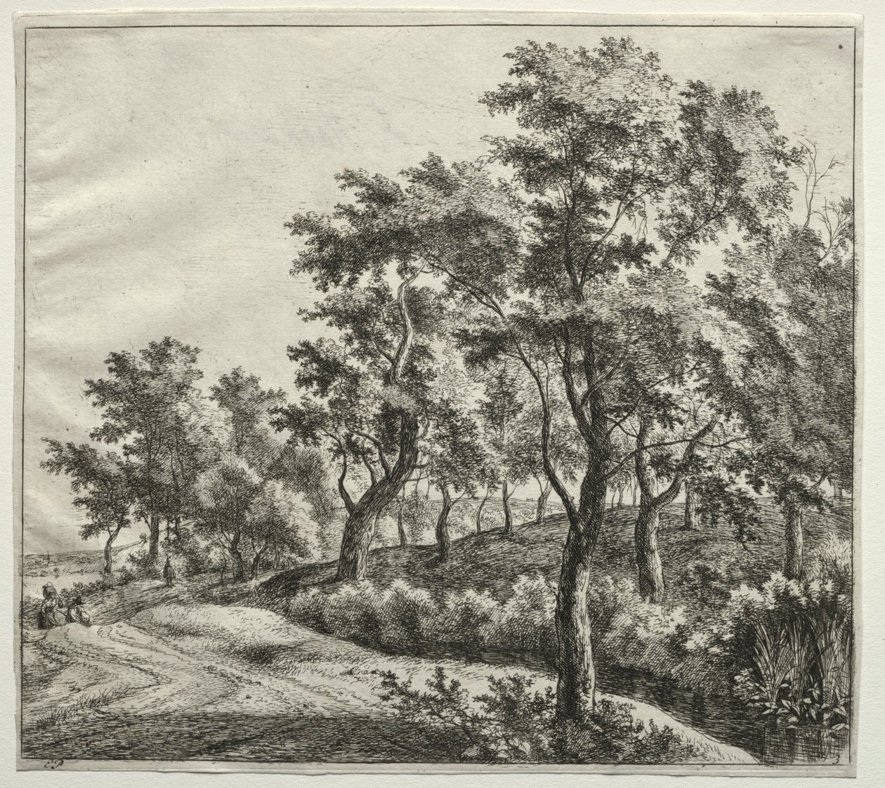  by Jan Hackaert