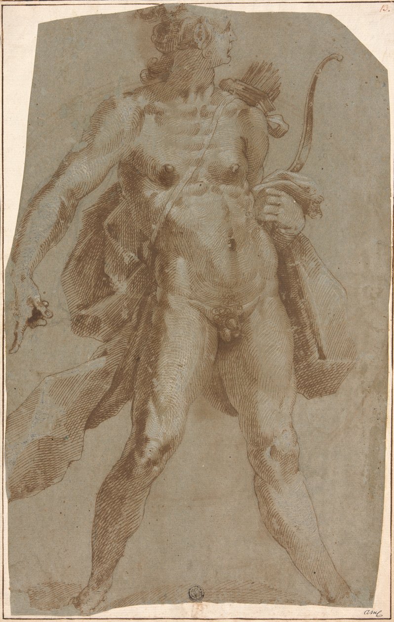 Apollon by Jan Harmensz. Muller