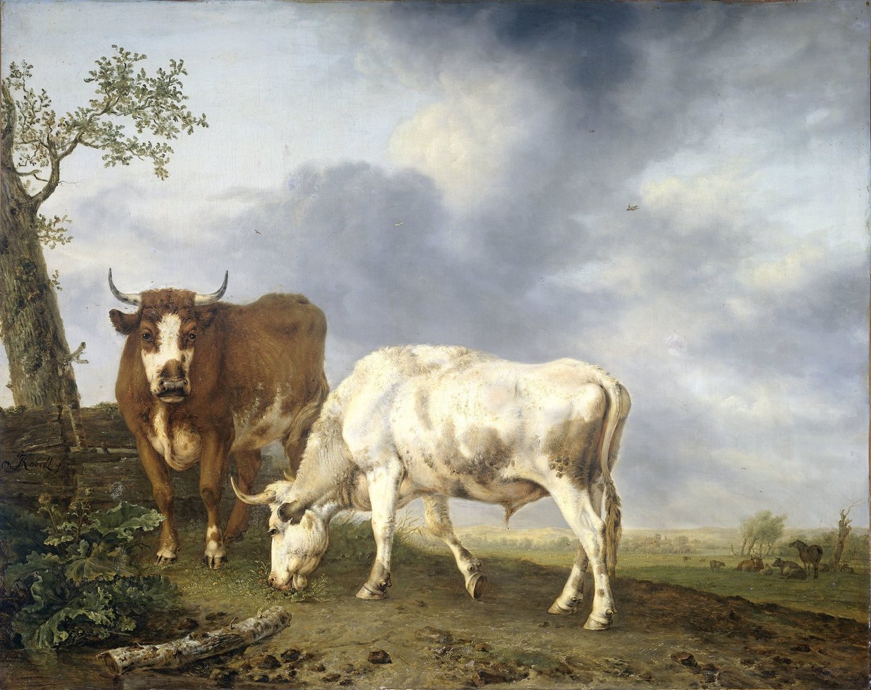 Çayırda Öküz by Jan Kobell (II)