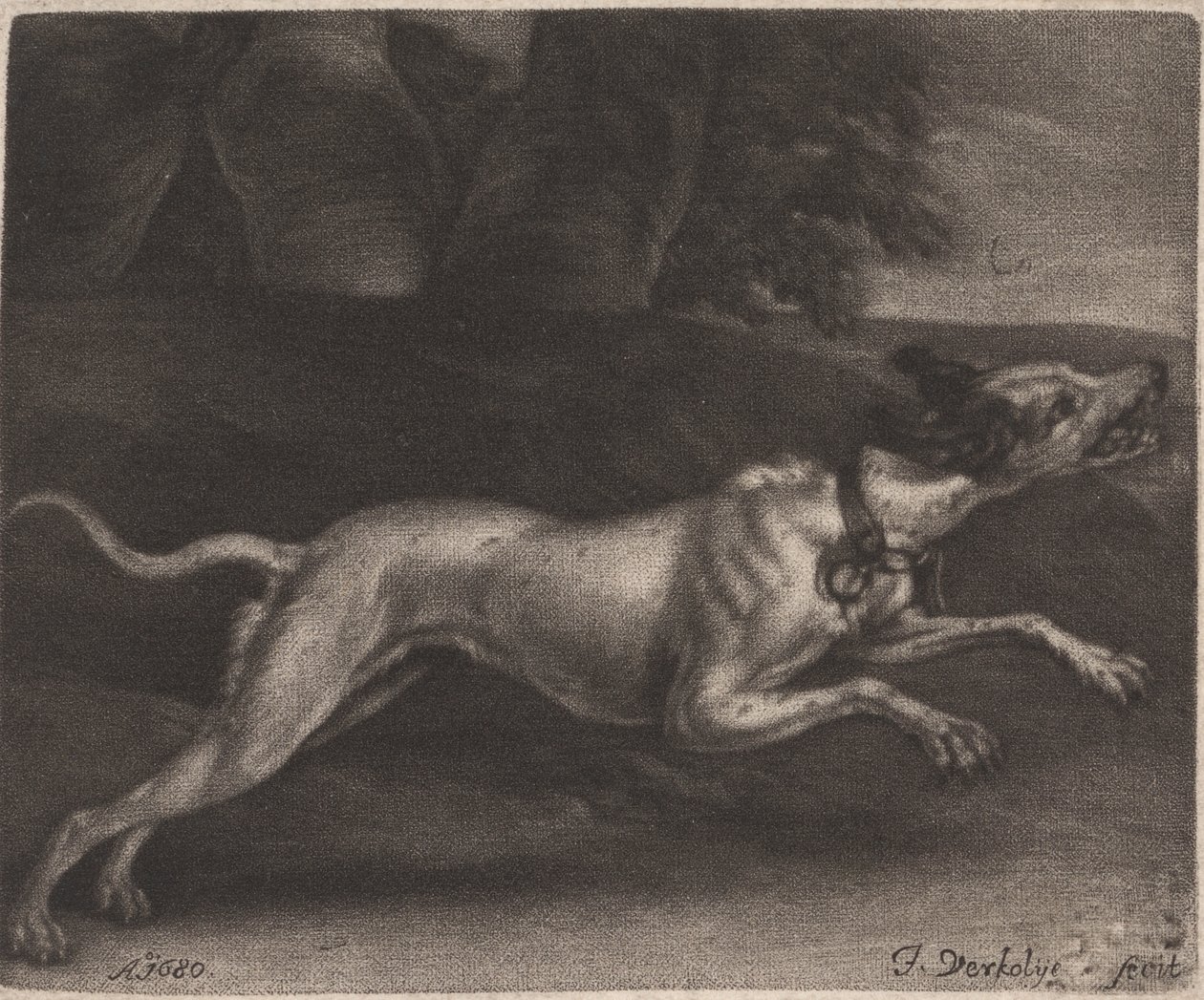 Koşan Köpek by Jan Verkolje