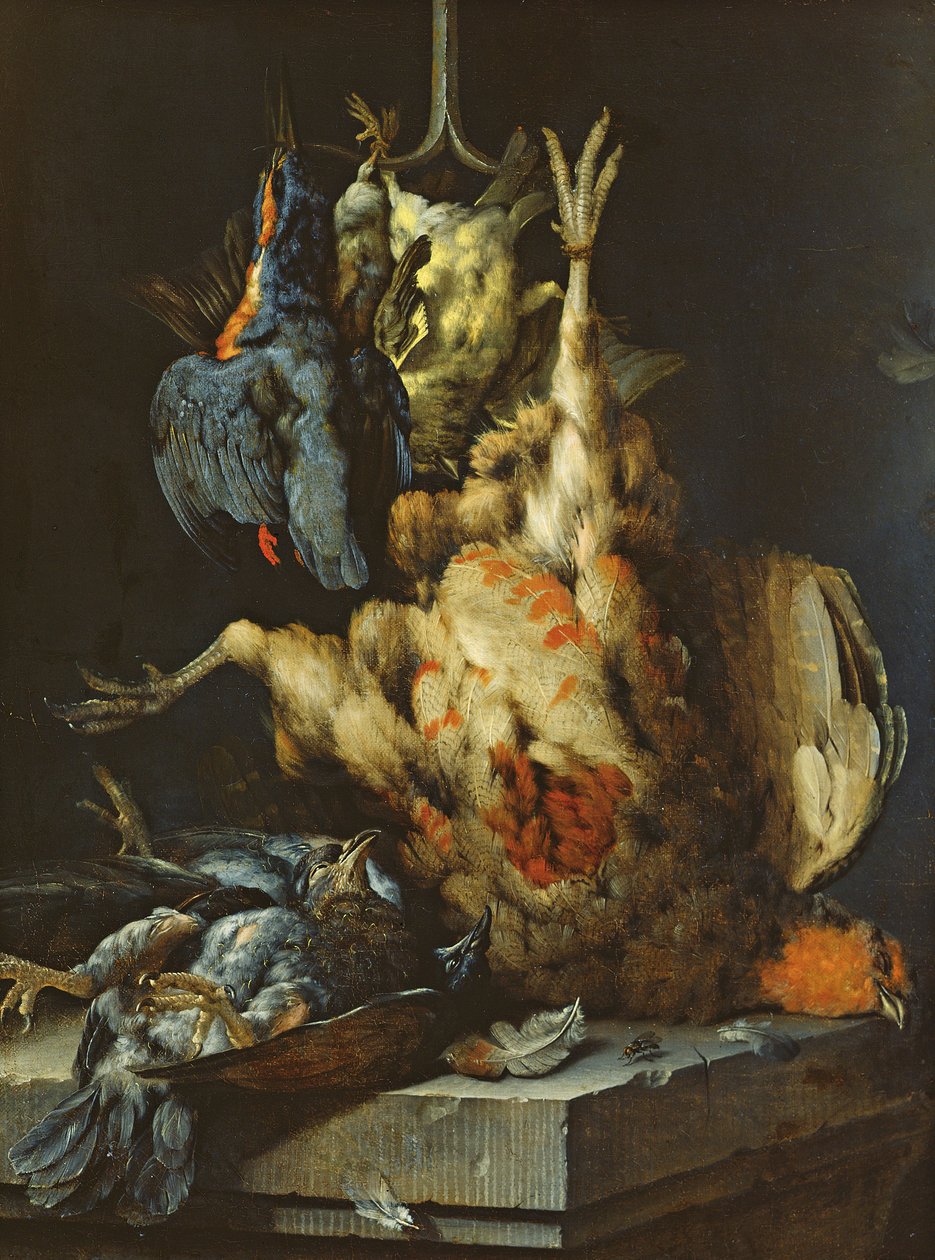 Natürmort (tuval üzerine yağlı boya) by Jan Baptist Weenix