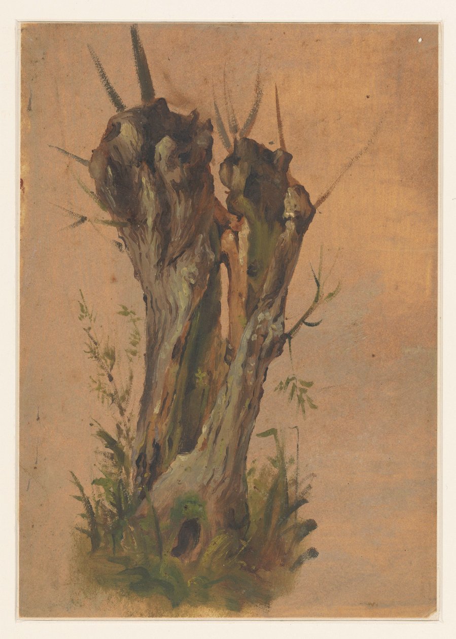 söğüt söğüt by Jan Weissenbruch