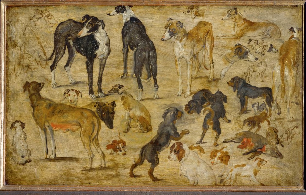 Tierstudien by Jan the Elder Brueghel