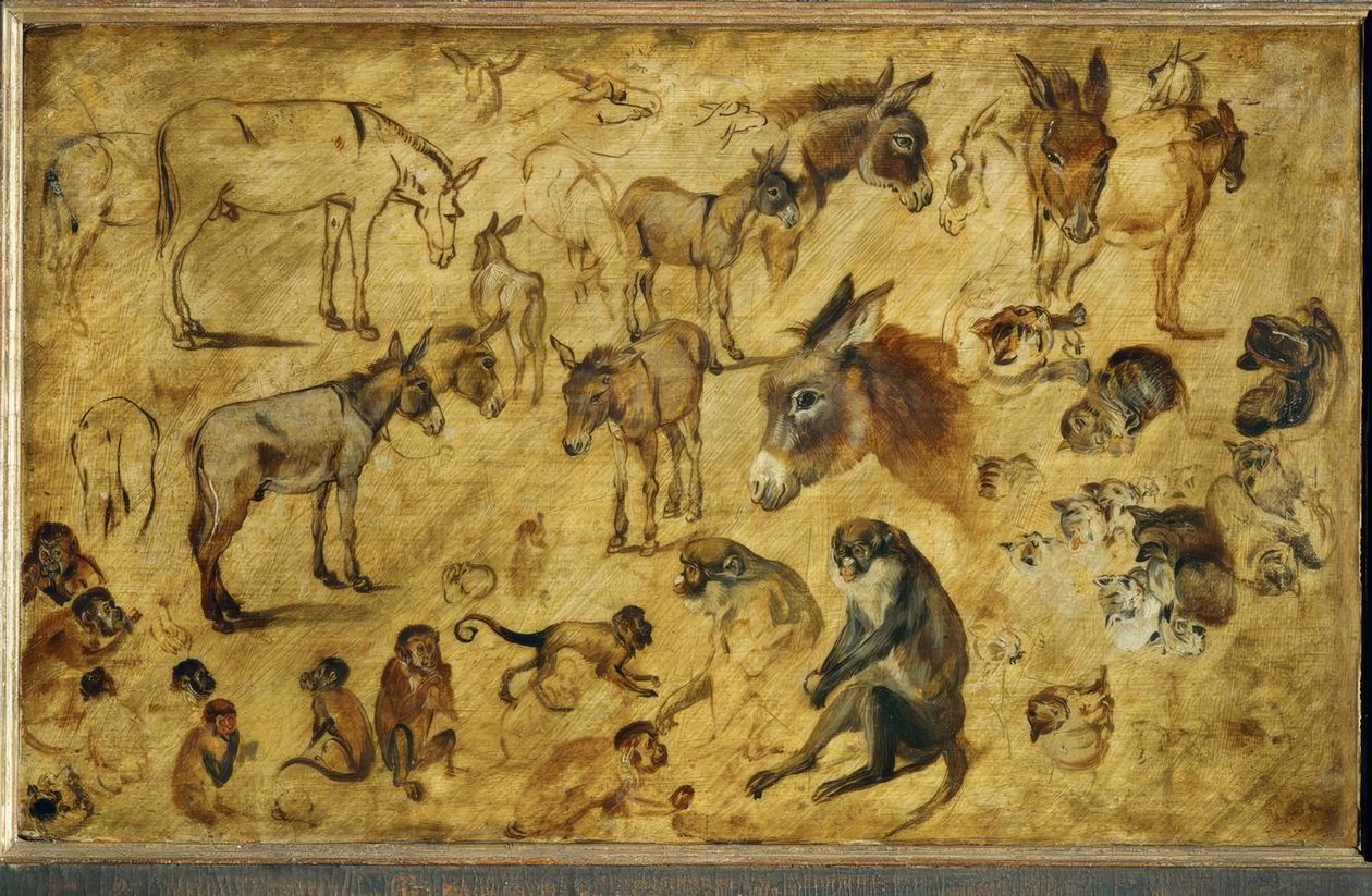 Tierstudien by Jan the Elder Brueghel