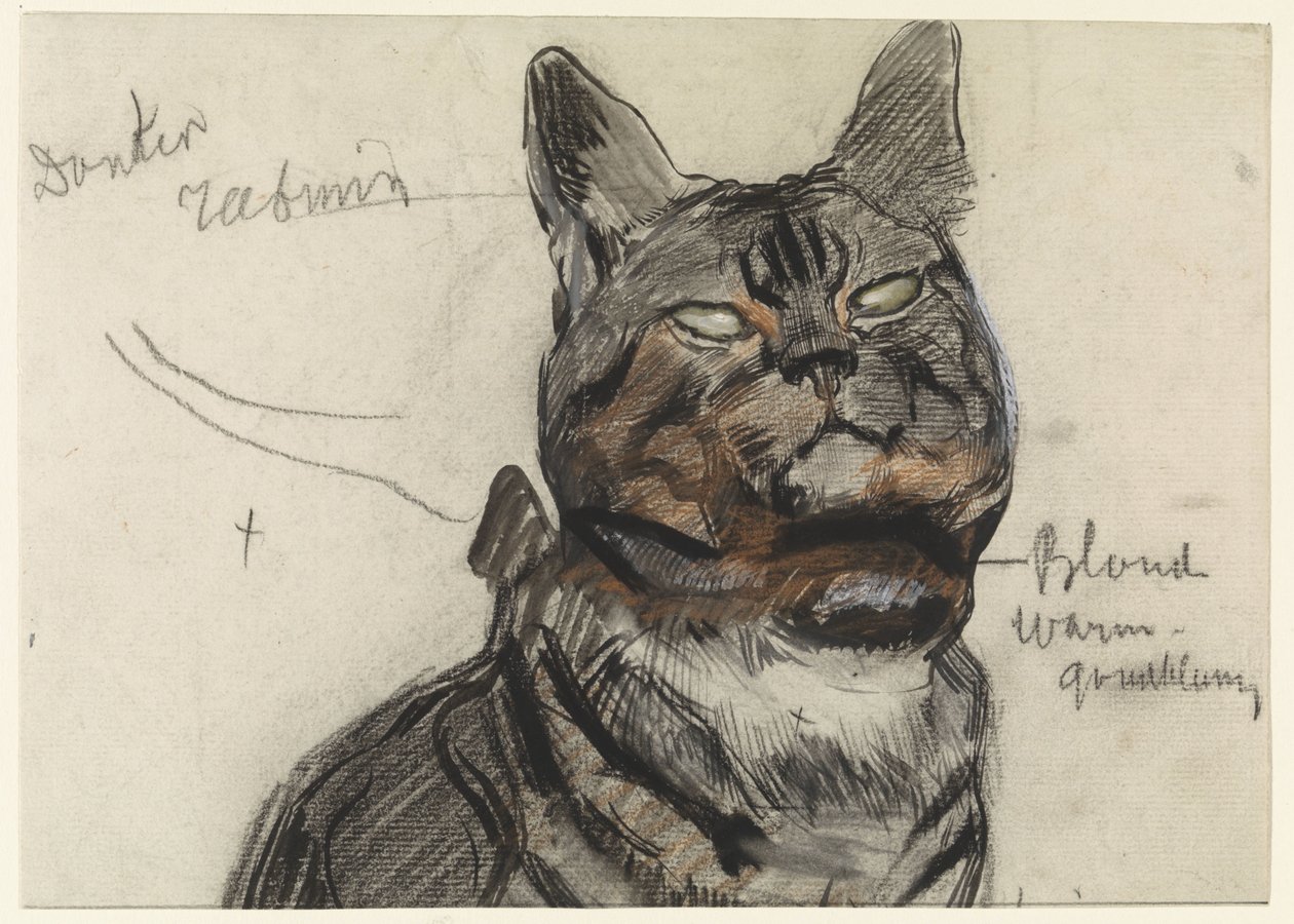 Renk notları olan kedi by Jan van Essen