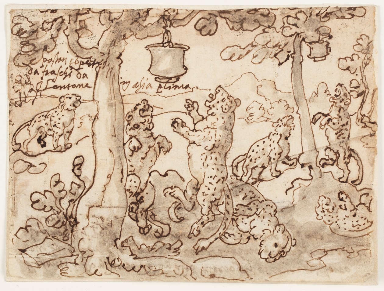 Panter Tuzağı by Jan van der Straet, called Stradanus