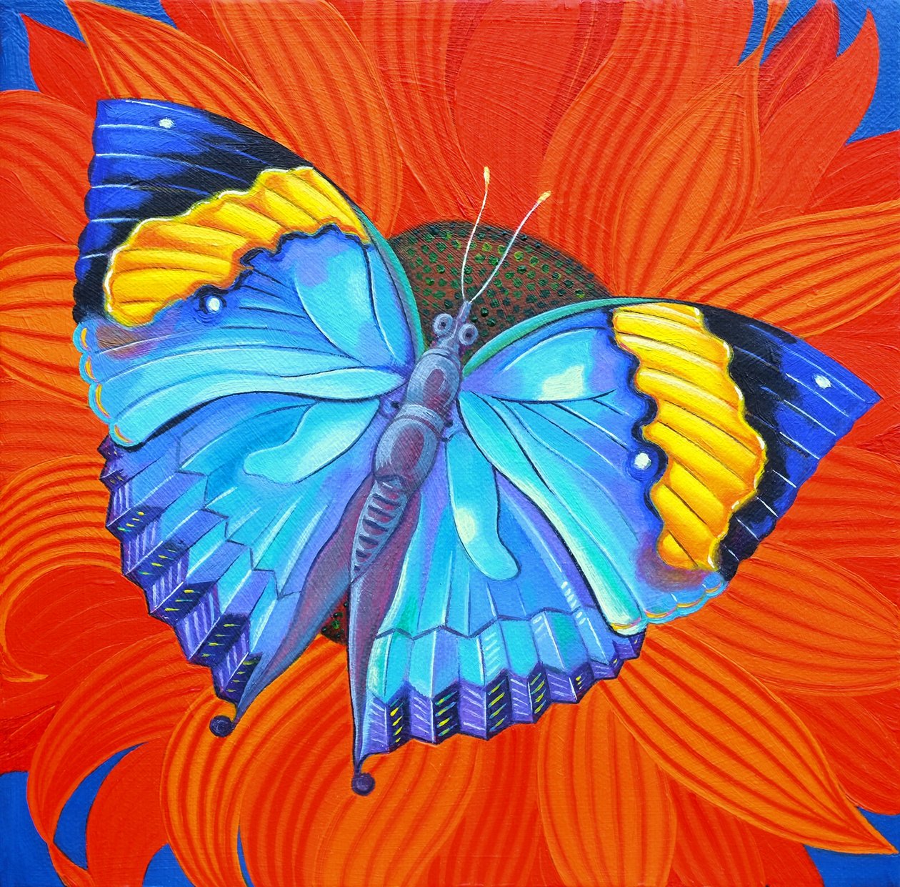 Hint Yaprak Kelebek, 2014, by Jane Tattersfield