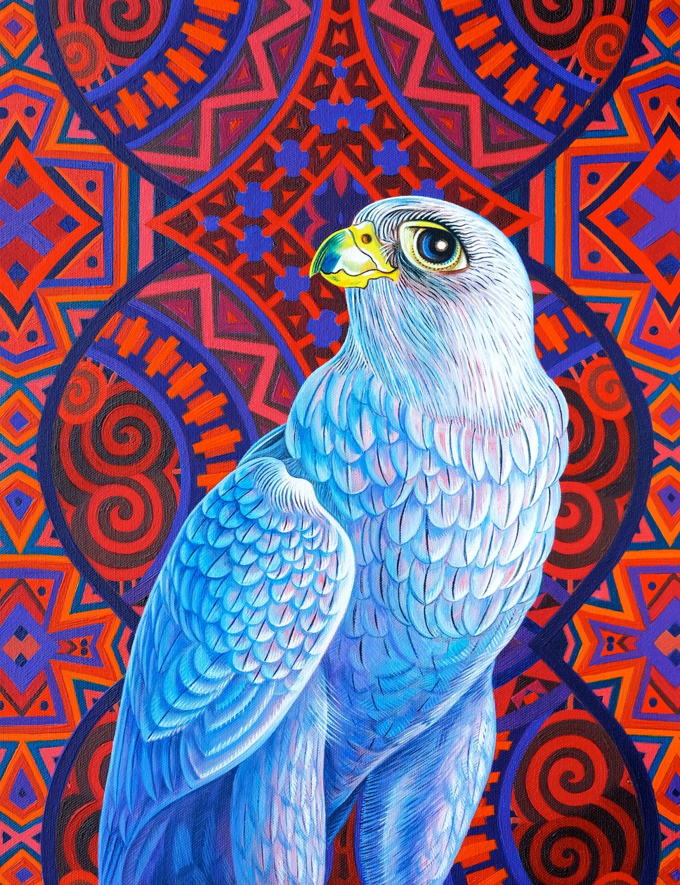 Gri şahin, 2017, by Jane Tattersfield