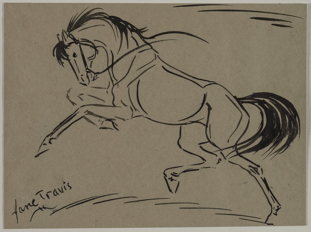 şahlanan at by Jane Travis