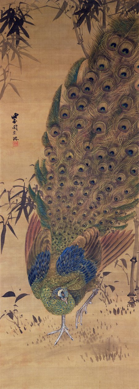 Tavus kuşu ve bambu (ipek üzerine mürekkep ve renkler) by Japanese School