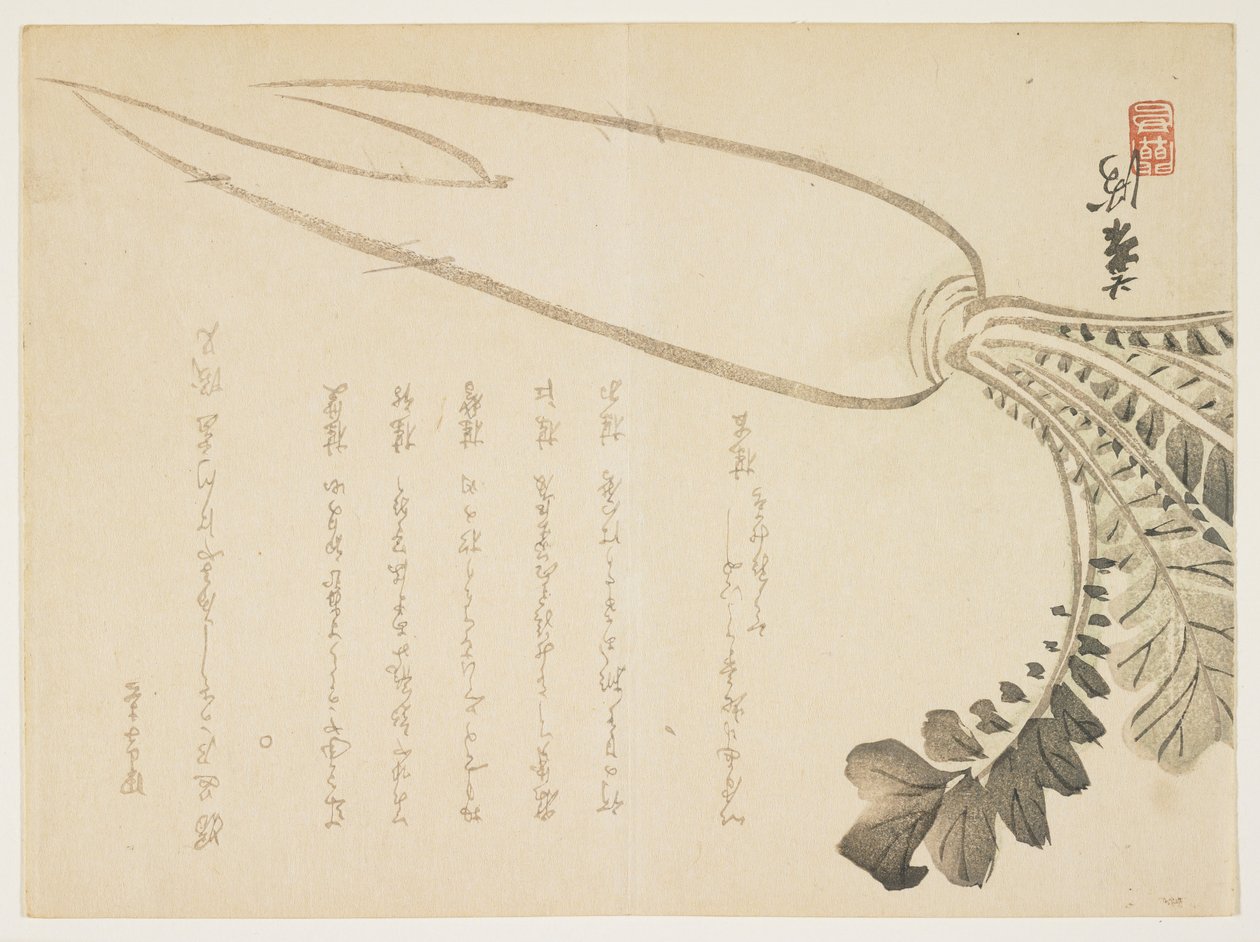 Daikon turp, Ocak 1864 (renkli tahta baskı) by Japanese School