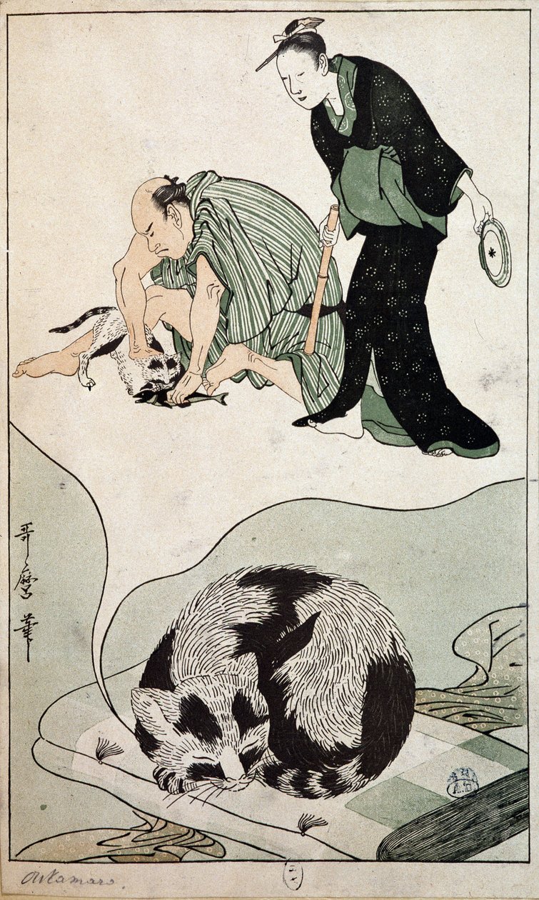 Rüyada Kedi - Japonya by Japanese School