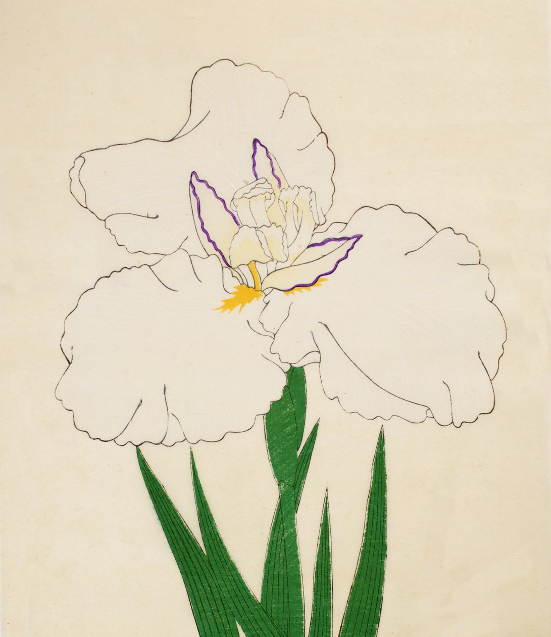 Saç penceresi-hayır. 65, 1890 (Bu DBock p Hayashi t) by Japanese School