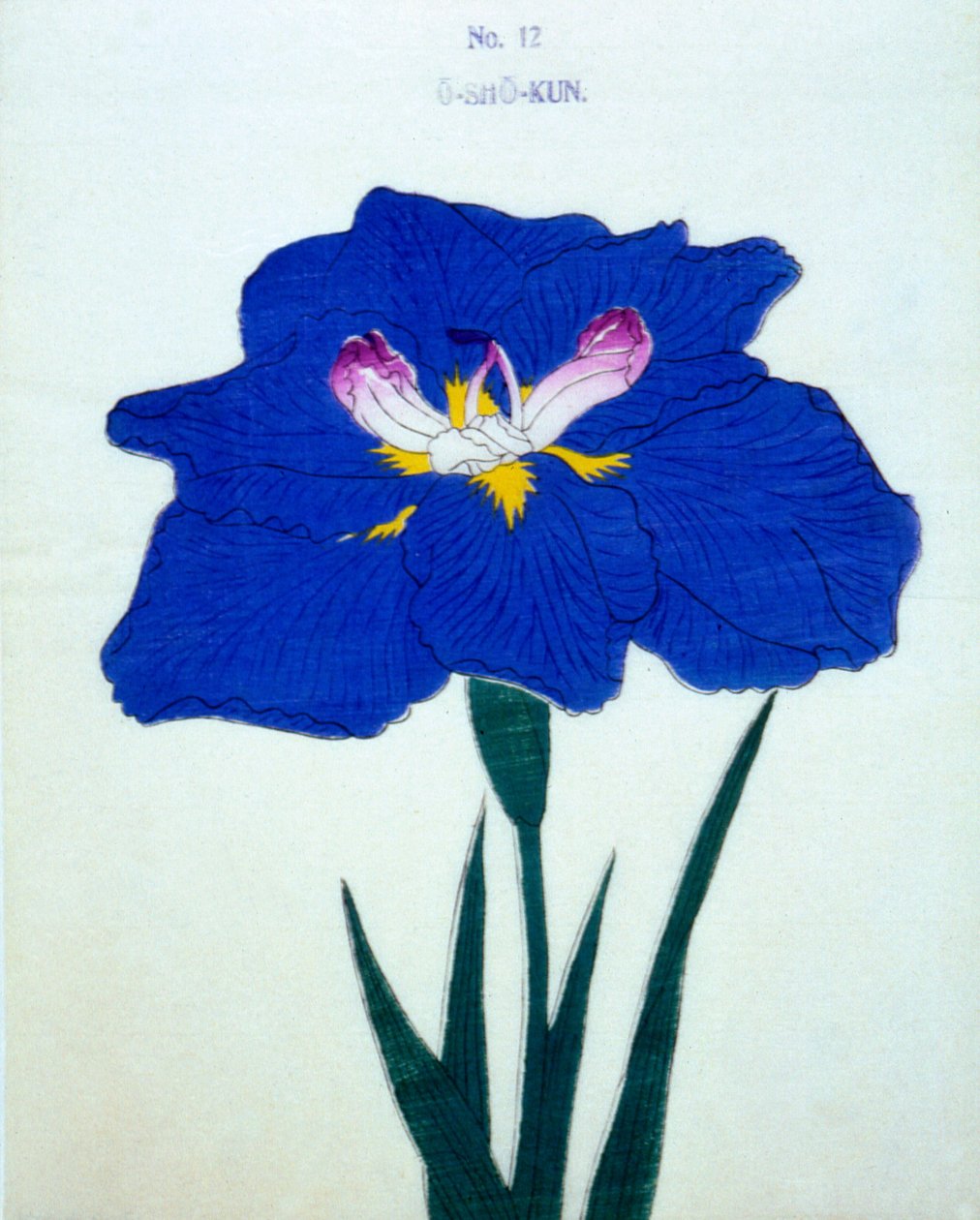 Osho-kun. 12, 1898 by Japanese School