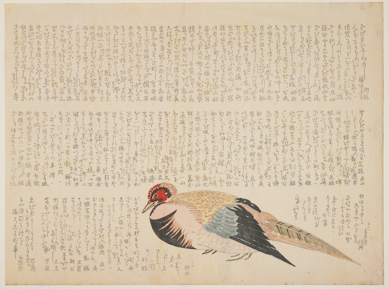 Sülün, c.1818-29 (renkli tahta baskı) by Japanese School