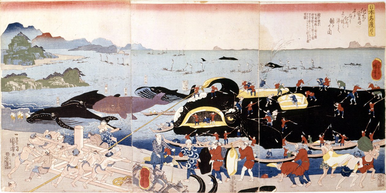 Japonya