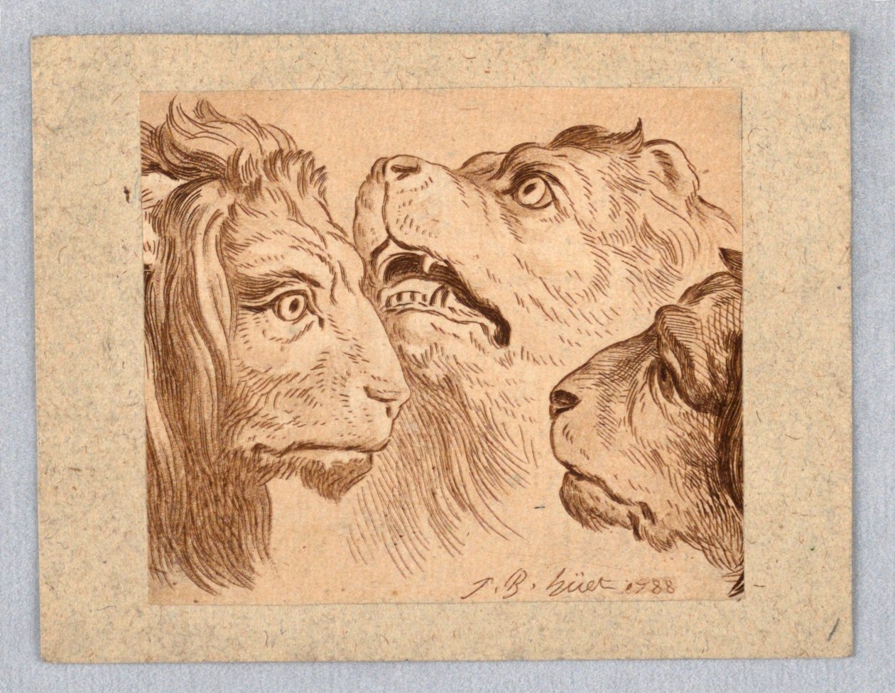 Üç Aslan Başı by Jean Baptiste Huet