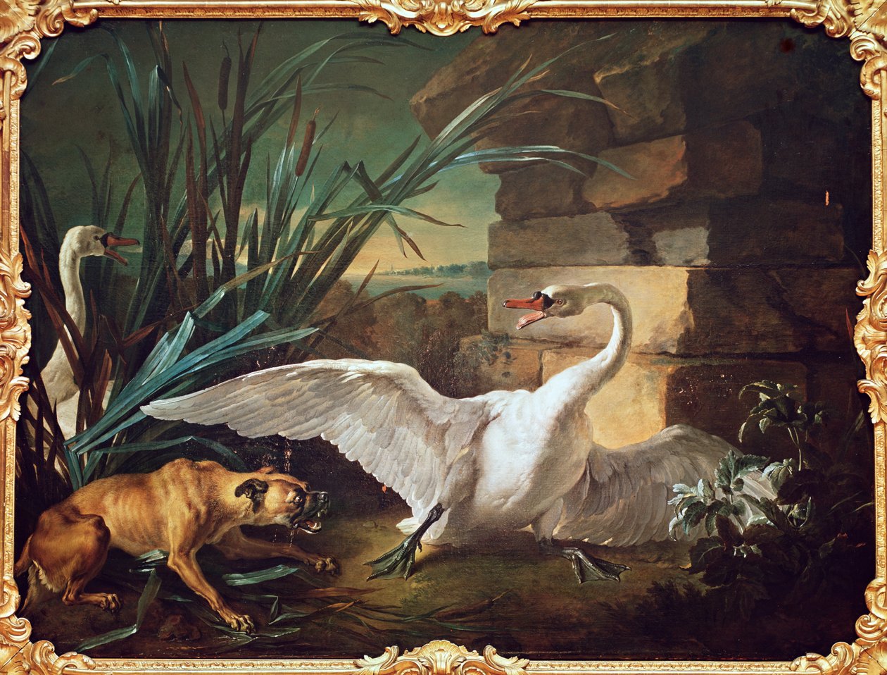 Köpek ve Kuğular by Jean Baptiste Oudry