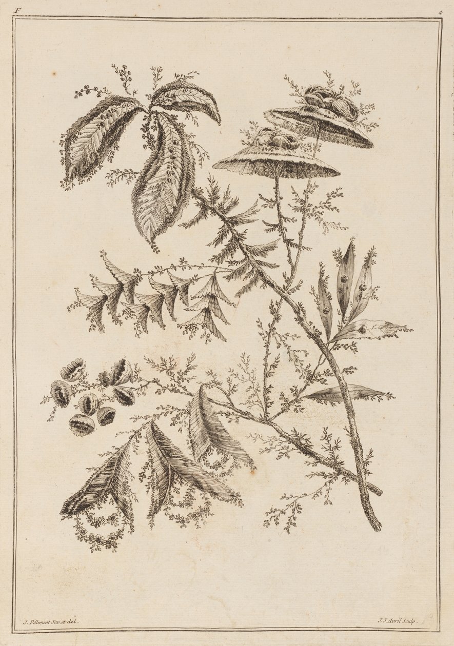 çiçek dalı by Jean Baptiste Pillement