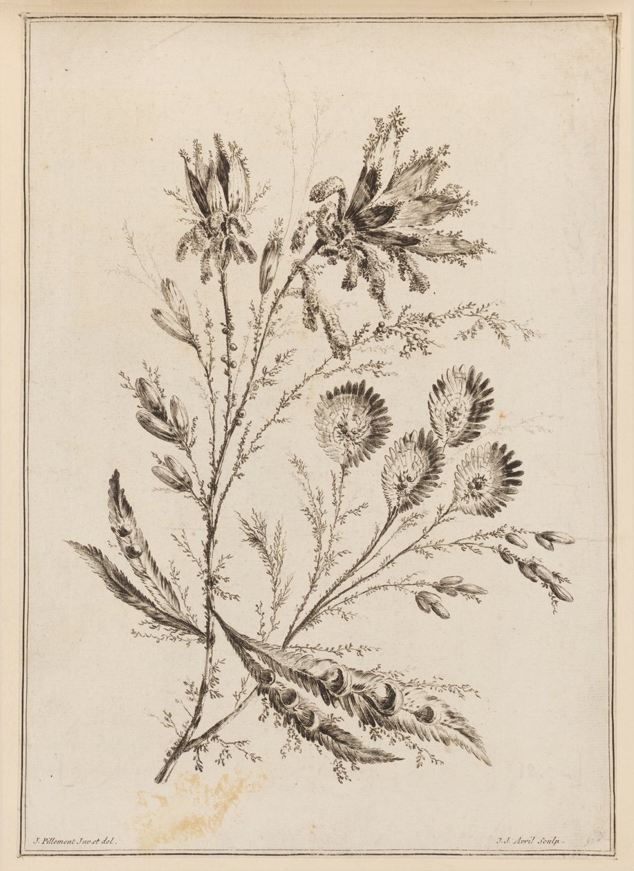 çiçek dalı by Jean Baptiste Pillement