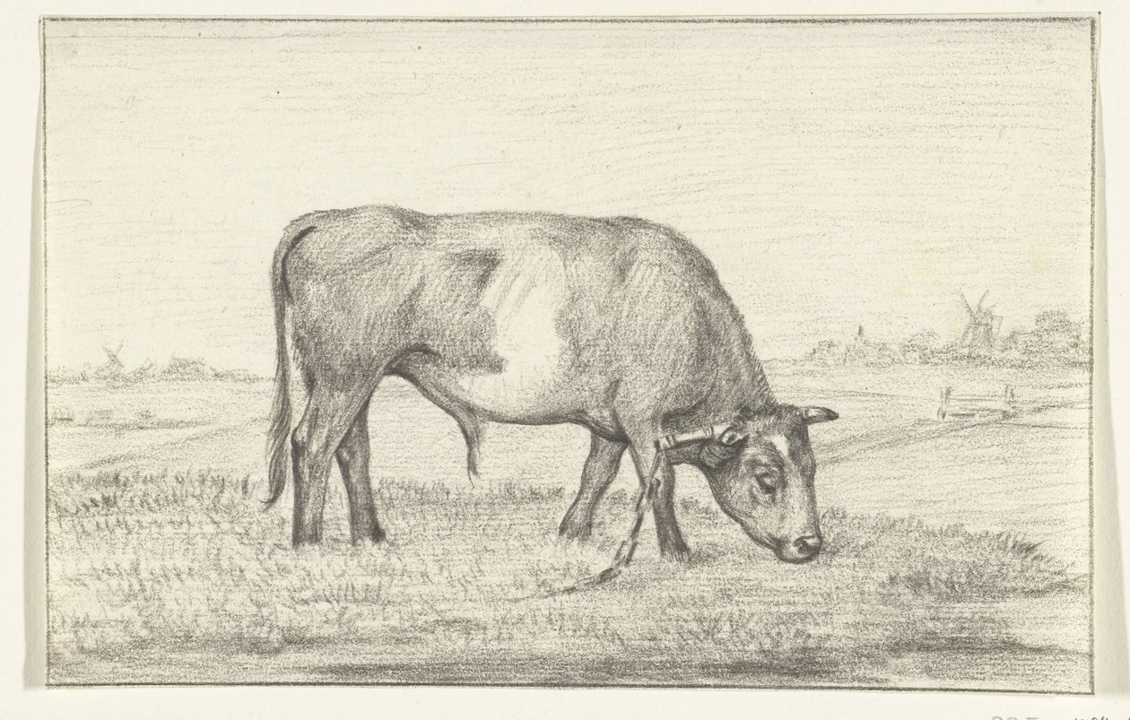 Sağdaki çayırda otlayan boğa by Jean Bernard