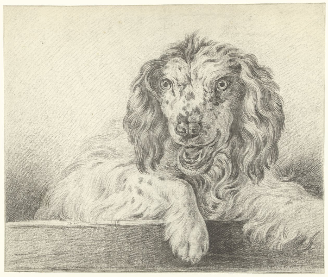 Köpek by Jean Bernard