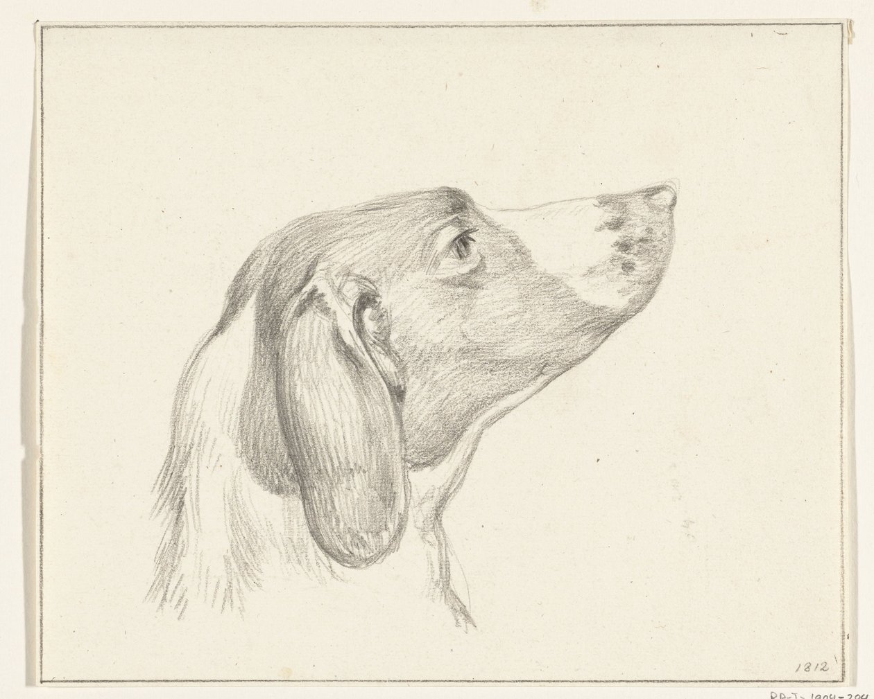 Bir köpeğin başı, sağda by Jean Bernard