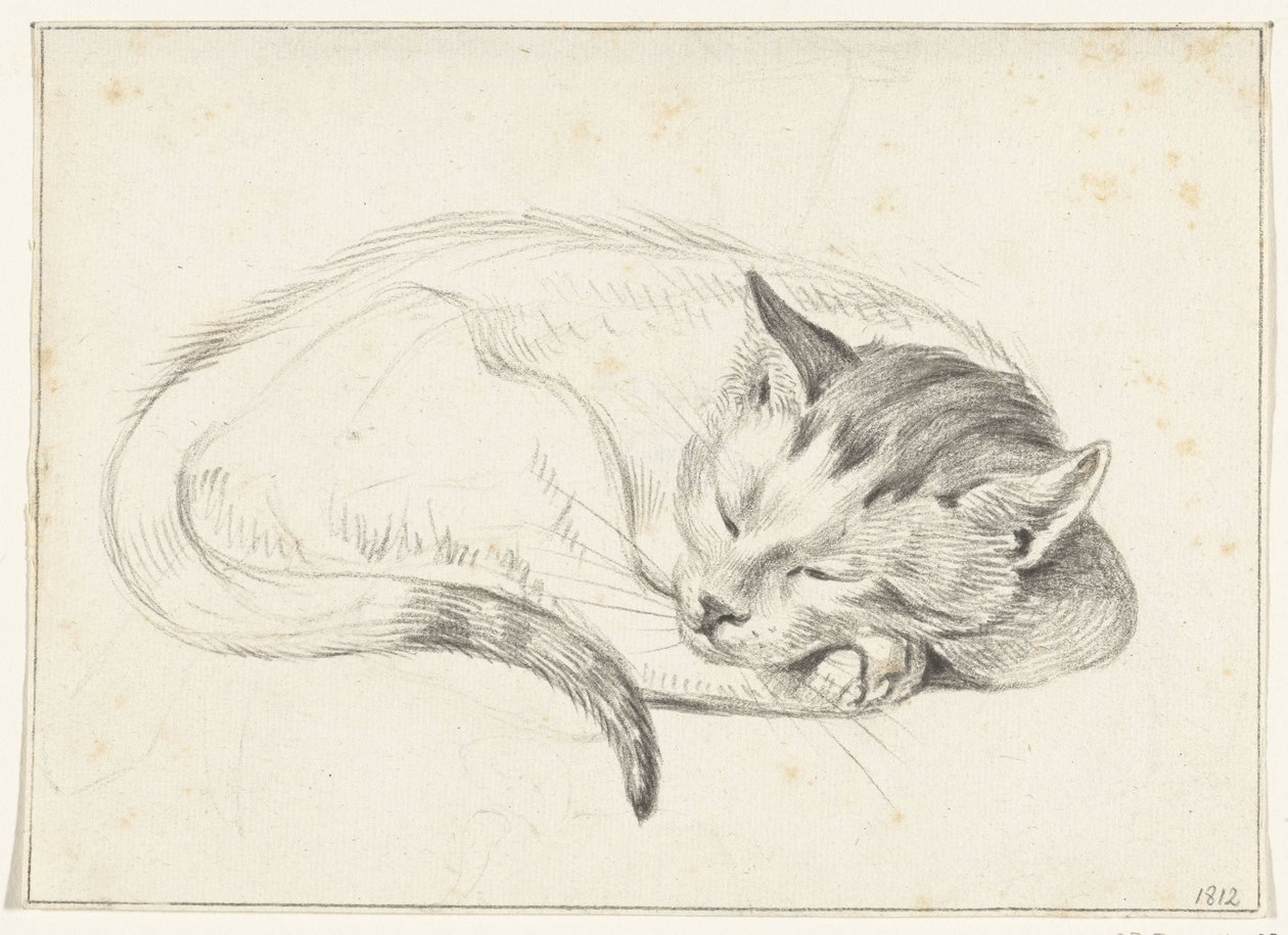 Kıvrılmış, uyuyan kedi by Jean Bernard