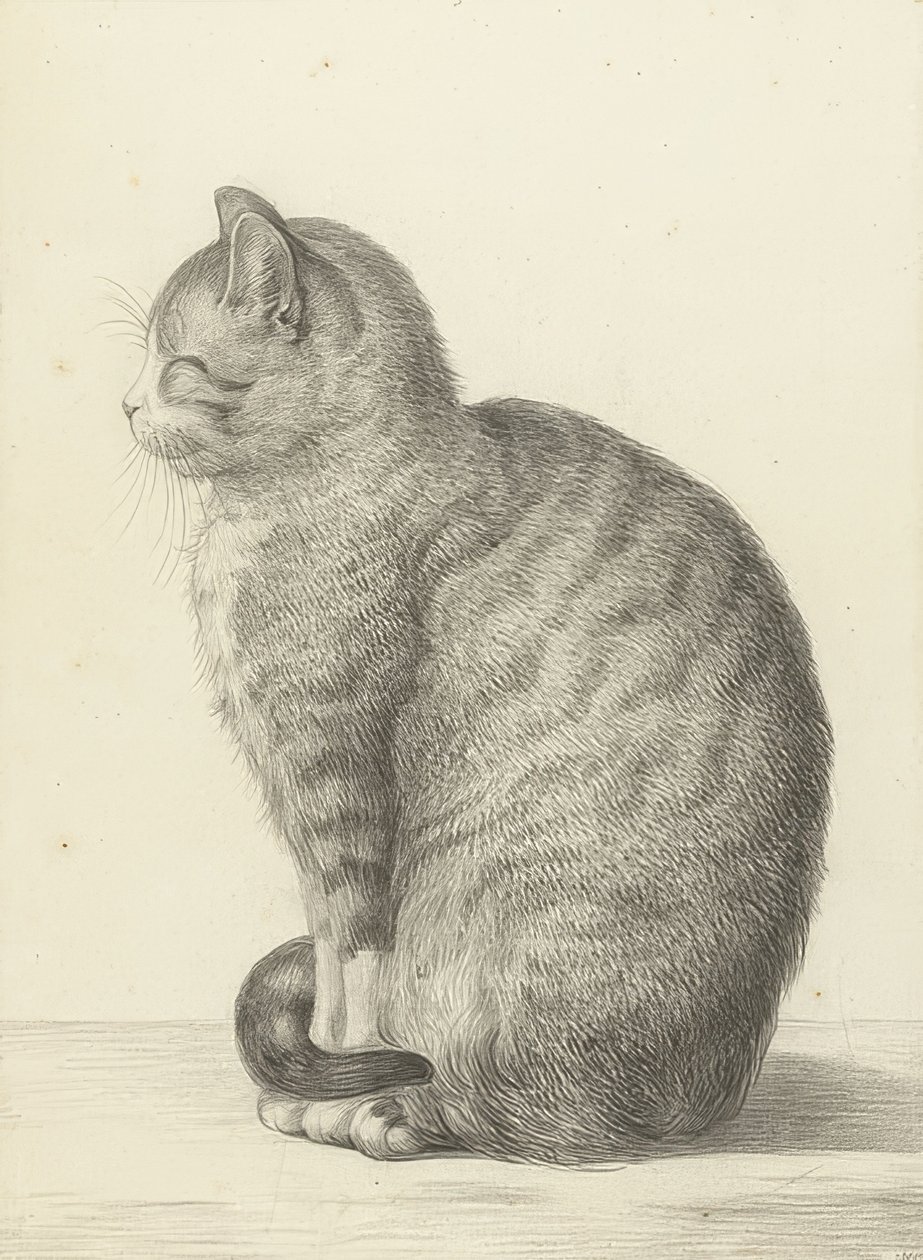 Oturan kedi, solda. 1815 by Jean Bernard
