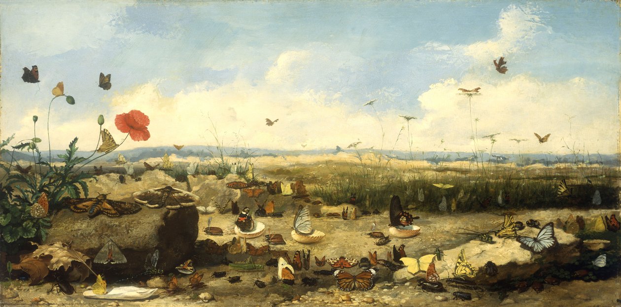Kelebeklerin Yarışı, 1872 by Jean Eugene Doneaud