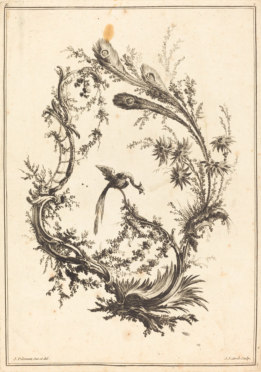 Tavus kuşu ile süsleme. by Jean Jacques Avril