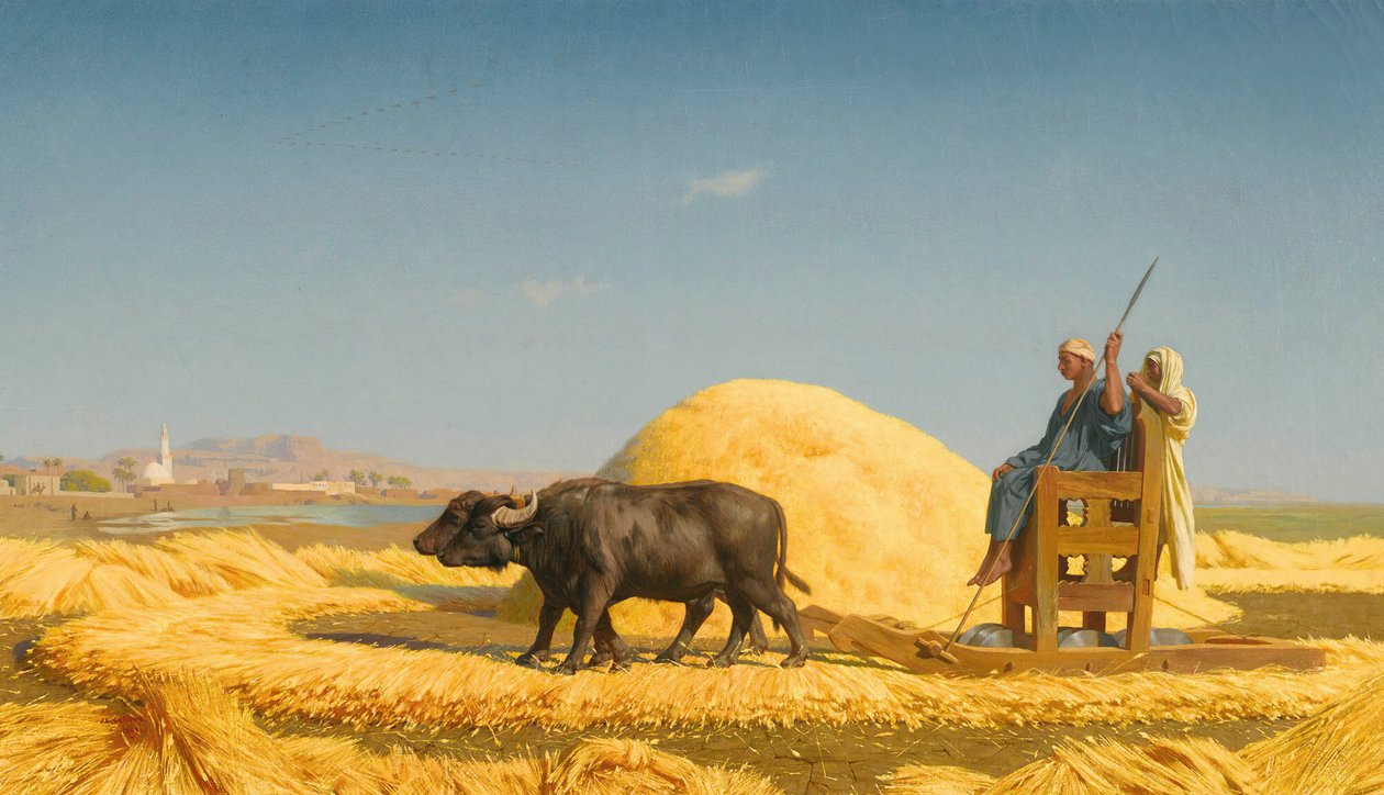 Tahıl Harman Makineleri, Mısır by Jean Leon Gerome