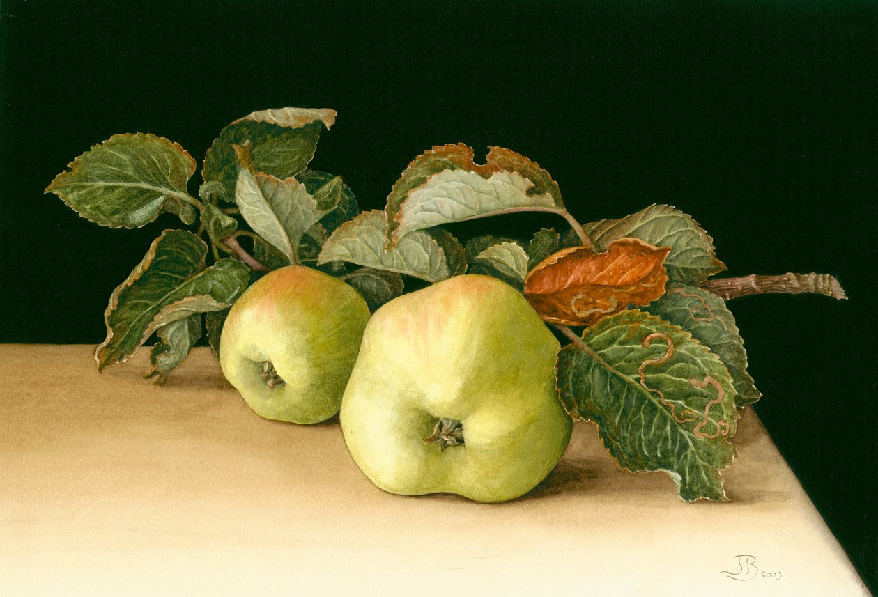 Bramley'ler by Jenny Barron