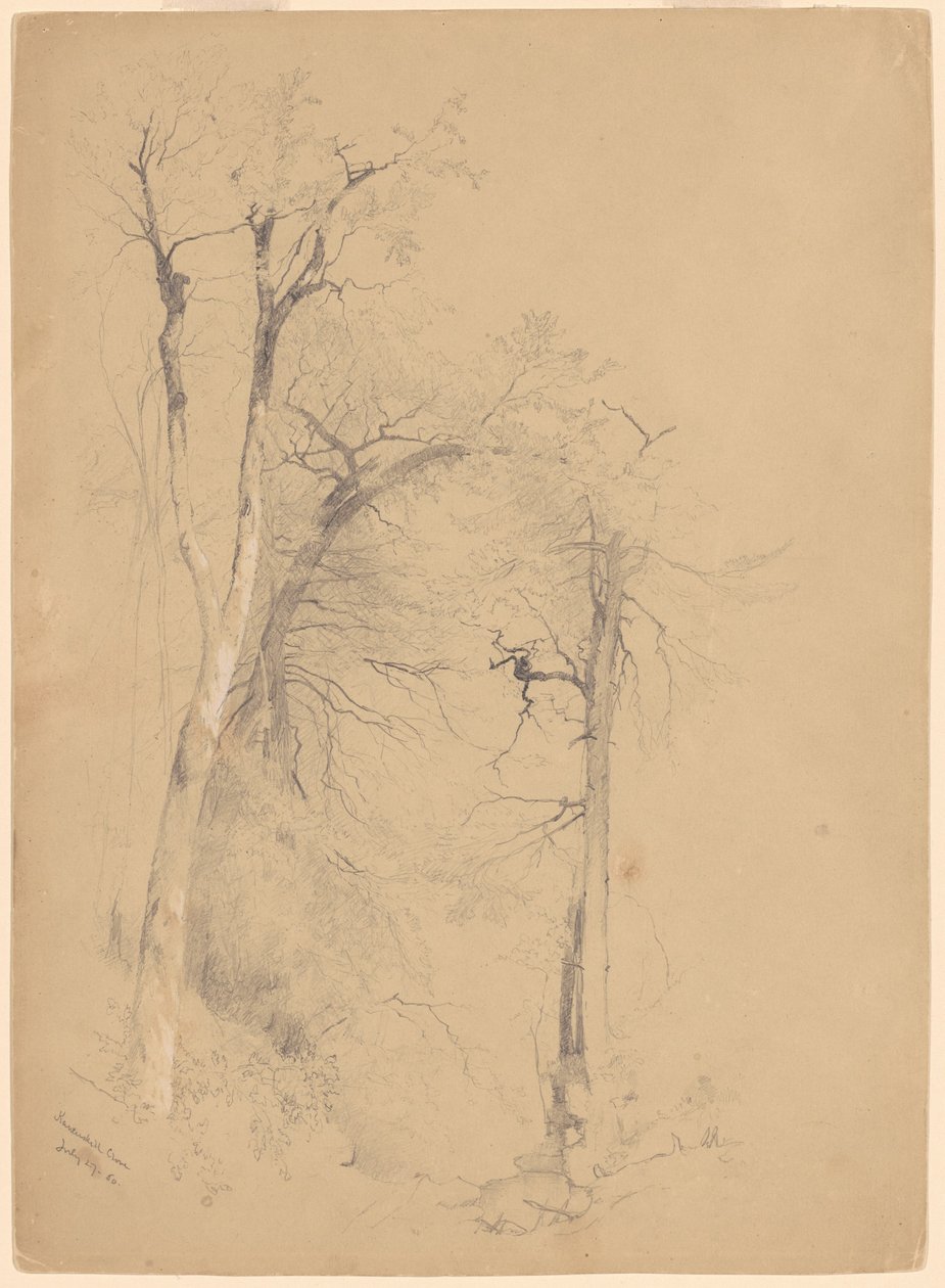 kauterskill karanfil by Jervis McEntee