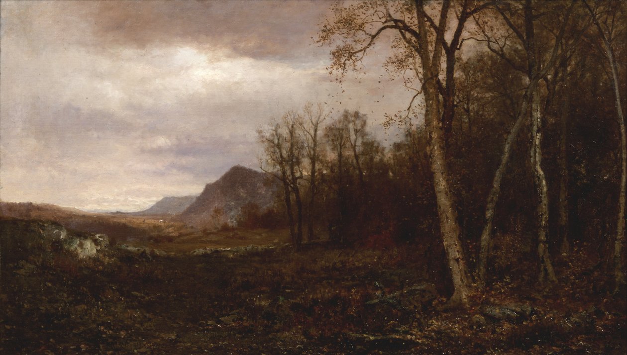ಓವರ್ ದಿ ಹಿಲ್ಸ್ ಮತ್ತು ಫಾರ್ ಅವೇ, 1878 ಟರ್ಕ್ by Jervis McEntee