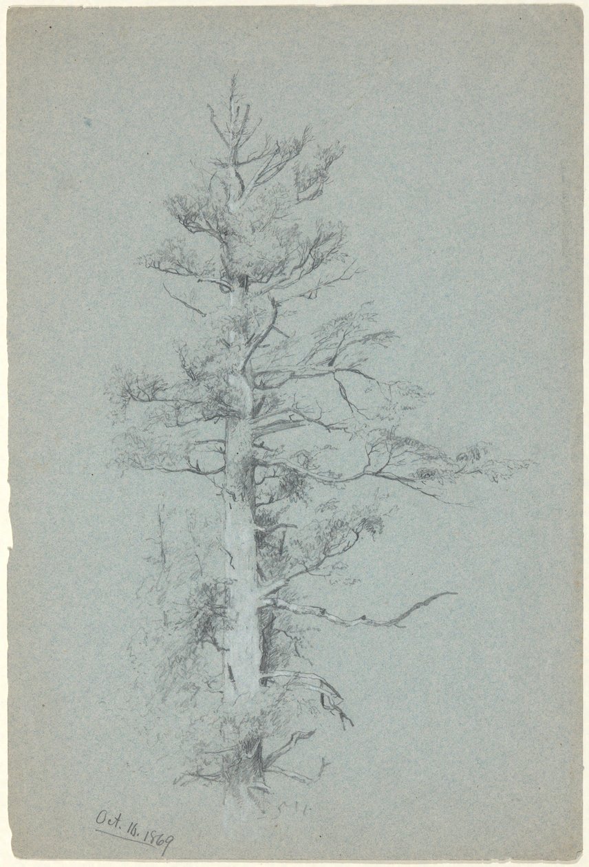 Ağaç Çalışması by Jervis McEntee