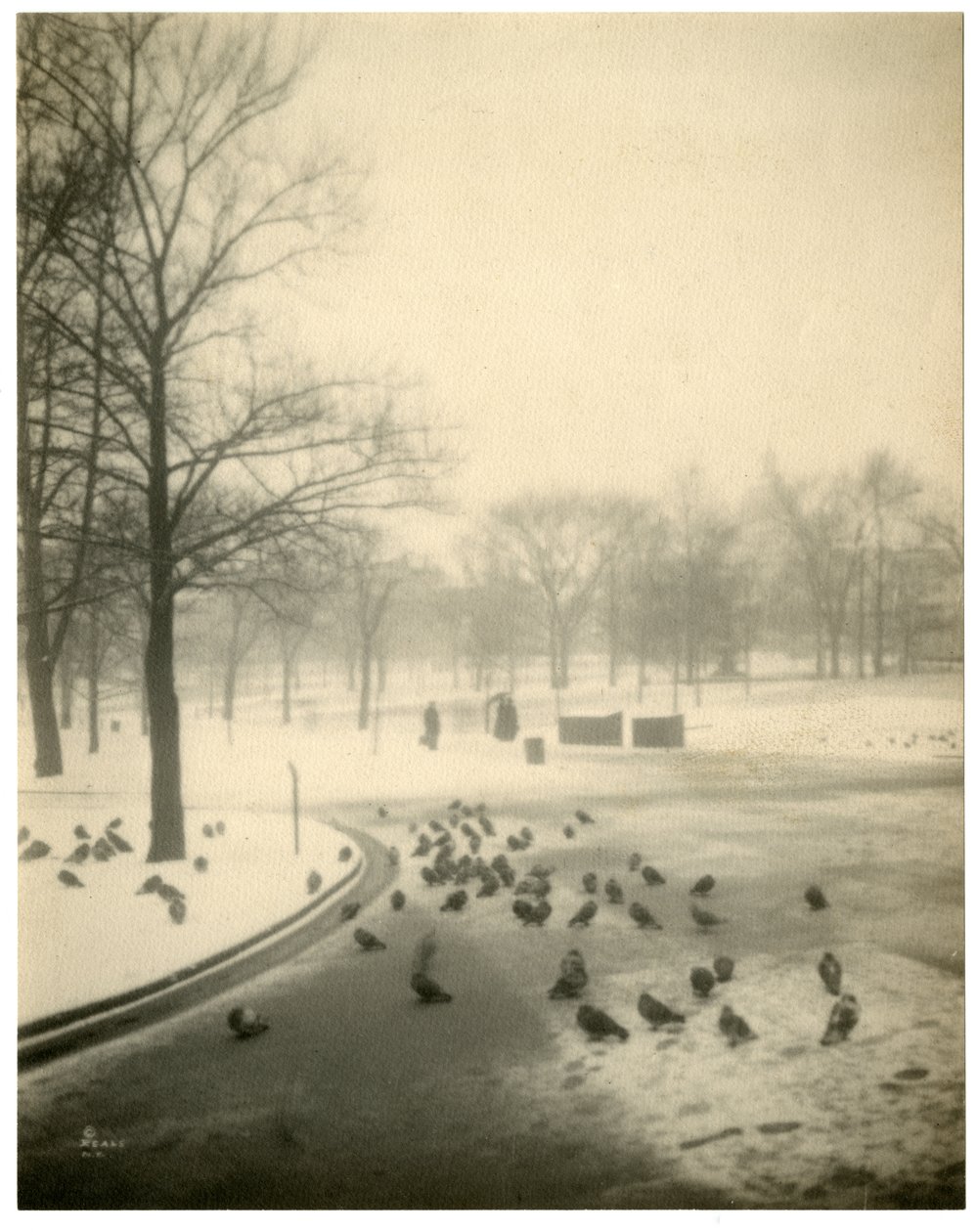 Boston Common, Boston, ABD, c.1902-10 by Jessie Tarbox Beals
