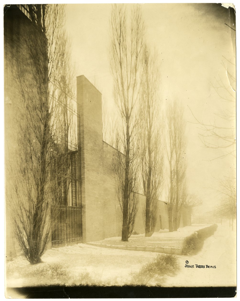 Boston, ABD, c.1902-10 (jelatin gümüşü fotoğraf) by Jessie Tarbox Beals