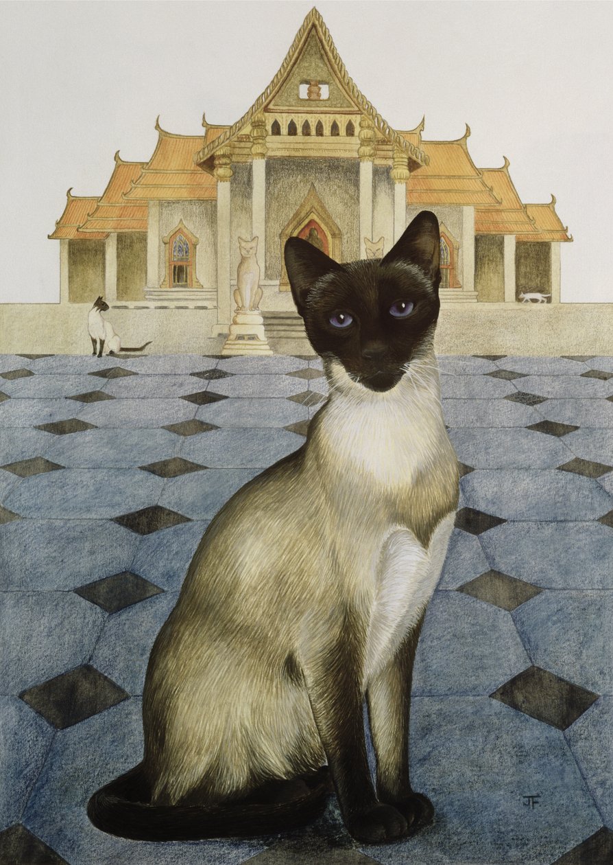 Siyam by Joan Freestone