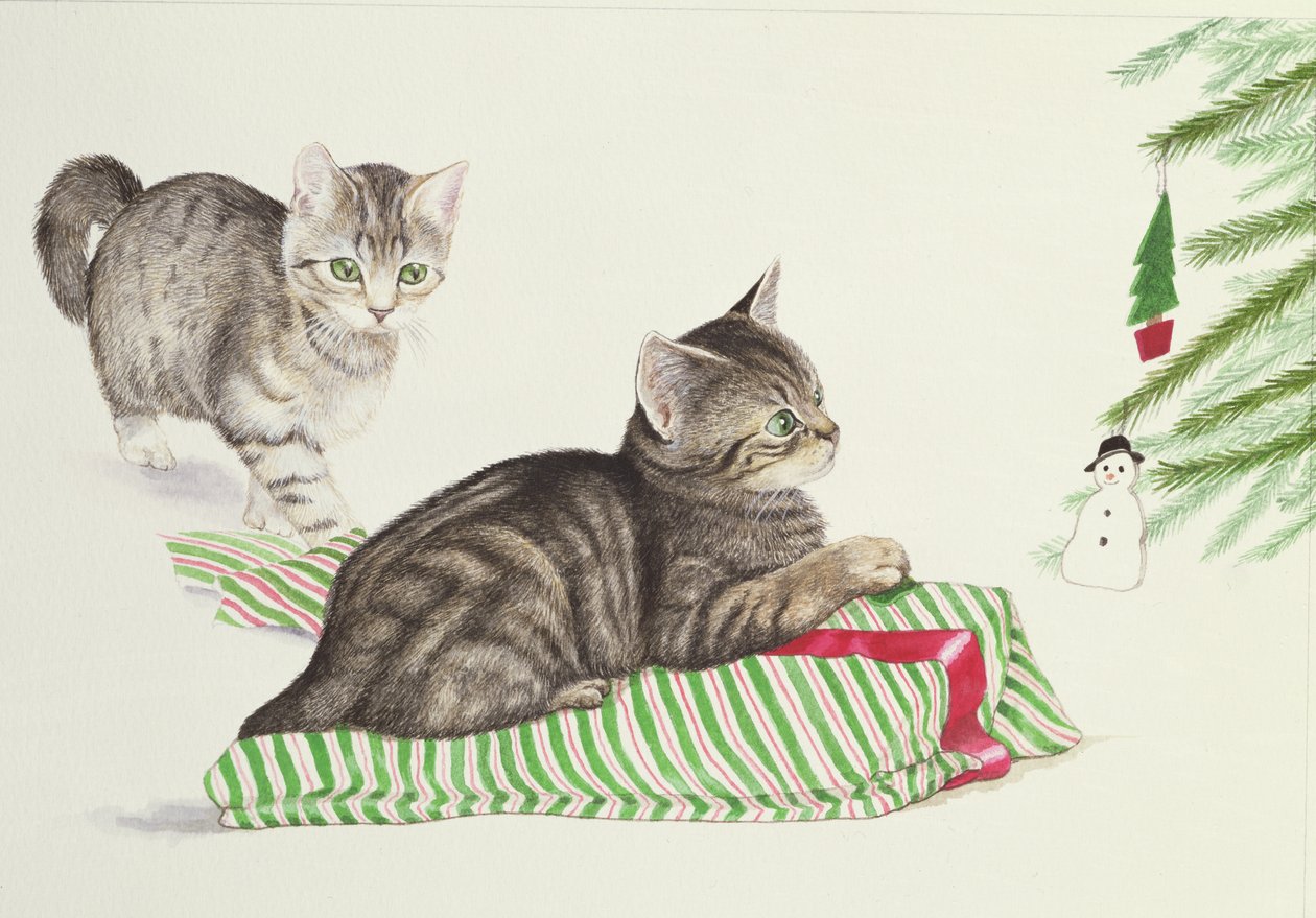 iki yavru kedi by Joan Freestone
