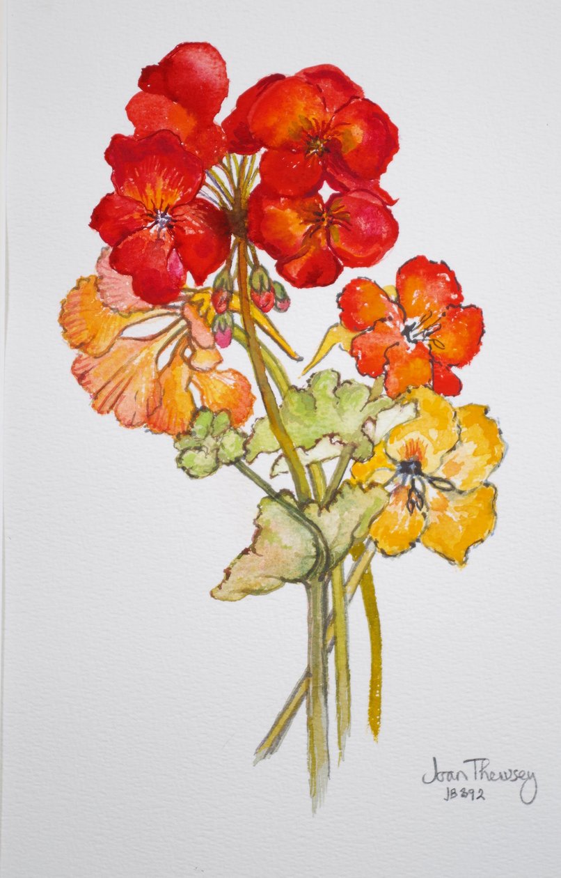 Sardunya ve Nasturtiums,2014,suluboya by Joan Thewsey