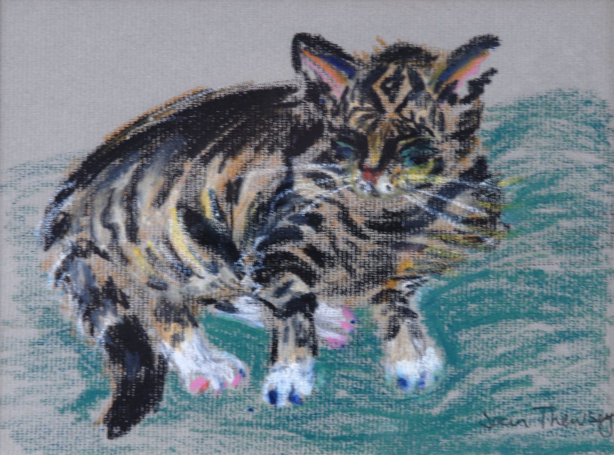 Tekir Kedi,2005 (pastel) by Joan Thewsey