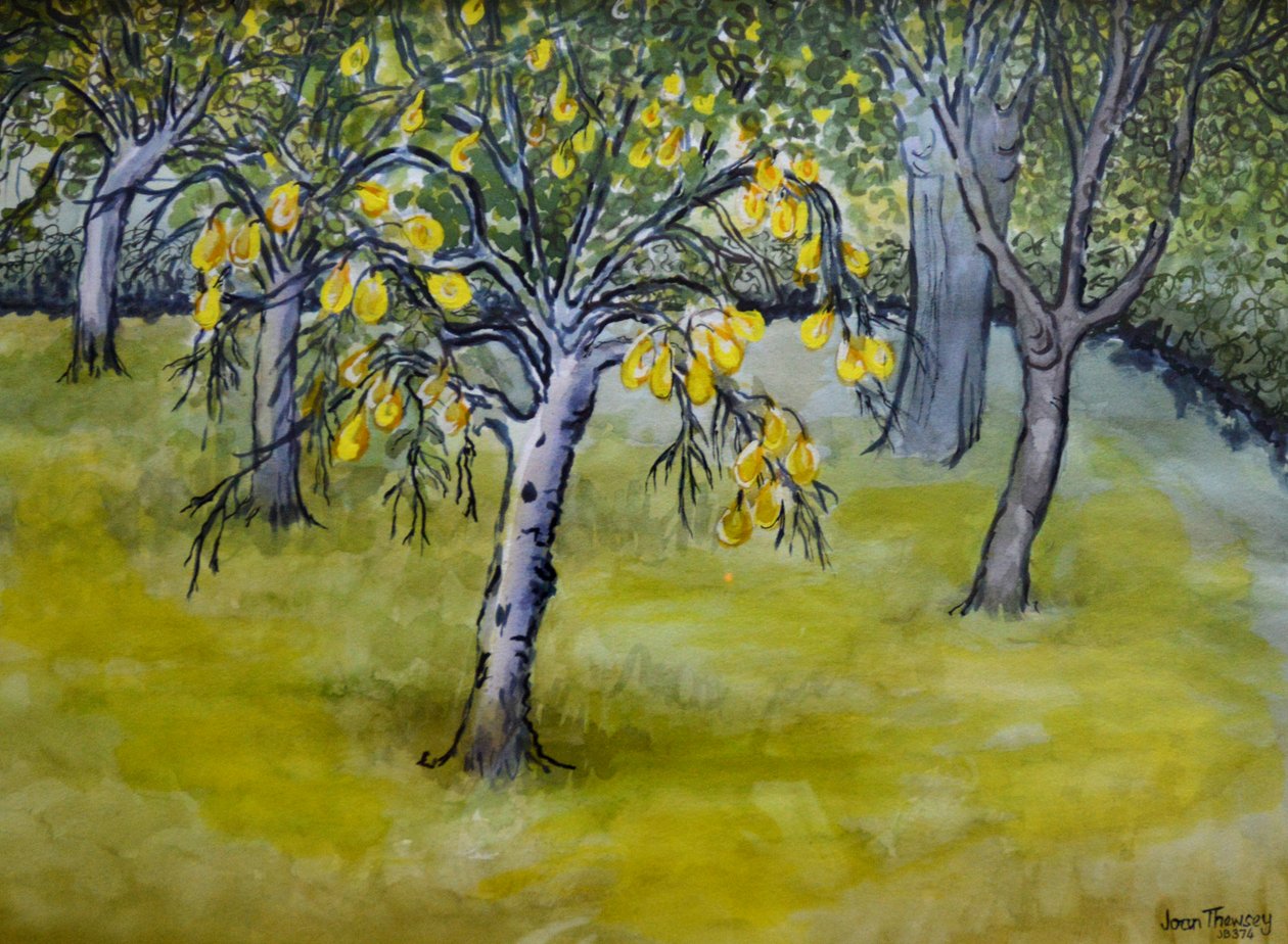 Küçük Armut Ağacı,2005 by Joan Thewsey